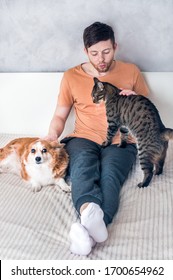 Young Man With His Dog And Cat Is Hugging On The Bed. Pets