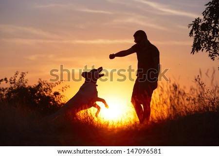 Young man with his yellow labrador retriever in nature - back lit