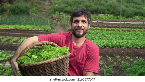 Young Man Holding Basket Of Organic Lettuces Standing At Urban Farm