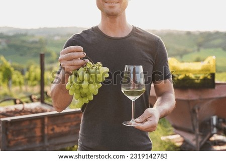 Young man holding fresh garpes and a glass of fresh made vine with wineyard in the background during sunset time