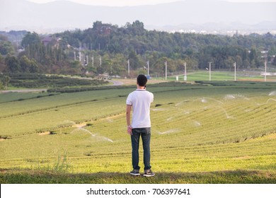 Young Man Holding Mobile Phone, Using Smartphone, Making A Call, Talking On The Phone, Standing On Tea Plantation