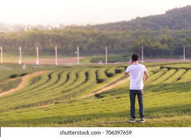 Young Man Holding Mobile Phone, Using Smartphone, Making A Call, Talking On The Phone, Standing On Tea Plantation