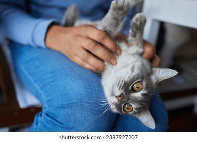 young man holding and petting cute cat male