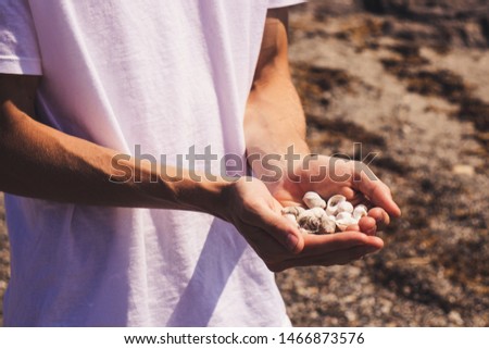 A young man holding a pile of seashells in his hands by the ocean side.