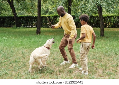 Young Man Holding Stick And Training His Dog Together With Little Son They Running On The Grass In The Park