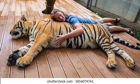 1,024 Hugging tiger Images, Stock Photos & Vectors | Shutterstock