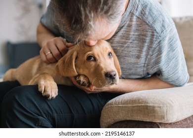 Young man hugging his labrador retriever puppy. The concept of friendship between a dog and a person, care and love for animals. Cute, funny moments of life - Shutterstock ID 2195146137