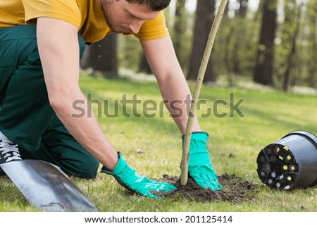 Young Man Kneeling During Planting Tree Stock Photo (edit Now 