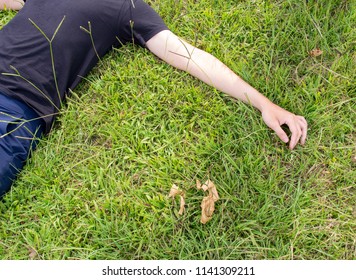 Young Man Laying Down On Green Grass Relaxing 