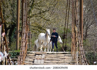 a young man leads horses across the bridge. farmer with his horses in nature. tourist trips on horseback.