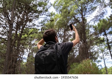 Young Man Lost In A Forest And Looking For A Signal On His Phone