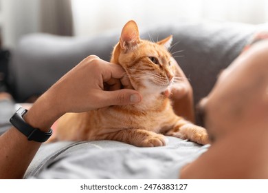 young man lying on a sofa interacts with a brown domestic cat