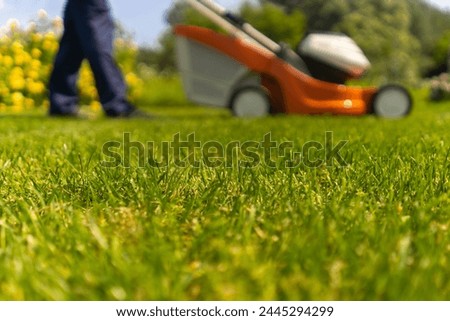 A young man is mowing a lawn with a lawn mower in his beautiful green floral summer garden. A professional gardener with a lawnmower cares for the grass in the backyard, meadow closeup.