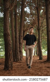 Young Man With Natural Style Walking In The Middle Of The Pine Tree Forest