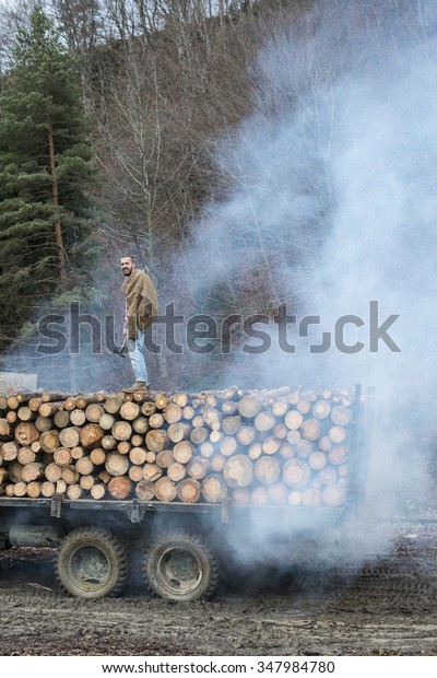 Young man\
on vintage truck with logs in the\
forest.