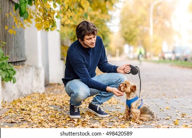 Young Man On A Walk On City Street With The Small Dog Yorkshire Terrier

