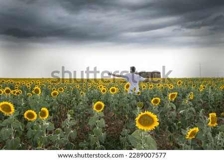 Young man with open arms enjoying the sunflower field and the storm brewing on the horizon. Concept of total freedom