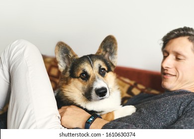 Young Man Owner Petting The Dog, Resting With His Pet At Home On Couch, Spending Time Together, Cute Welsh Corgi Puppy Looking Funny. Concept Friendship With Dog And Human, Cute Moments, Relaxing