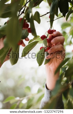 #A# Good.Cherries.Food.