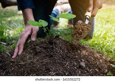 The young man is planting the tree in the garden to preserve environment concept, nature, world, ecology and reduce air pollution. - Shutterstock ID 1615352272