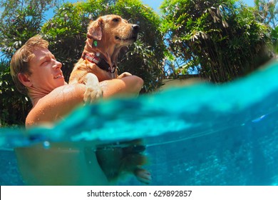 Young Man Play With Fun And Train Golden Labrador Retriever Puppy In Swimming Pool - Jump And Dive Underwater. Funny Games With Family Pets And Popular Dog Breeds Like Companion.
