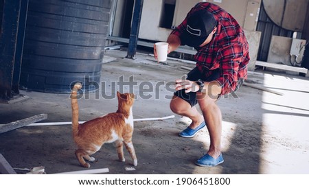 A young man plays with a ginger cat, a playful cat, a man teases a cat.