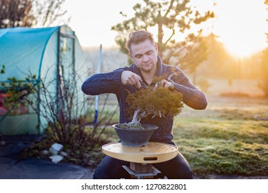 Young man pruning bonsai tree. Small business concept - Powered by Shutterstock