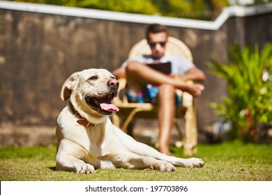 Young man is reading and his dog is resting on the garden. 