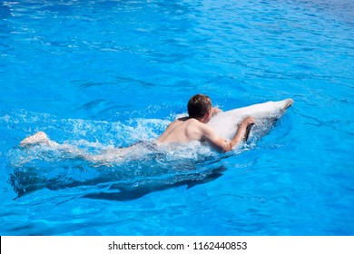 A young man is riding dolphin, boy swimming with dolphin on the back in blue water in water pool, sea, ocean, dolphin saves a man