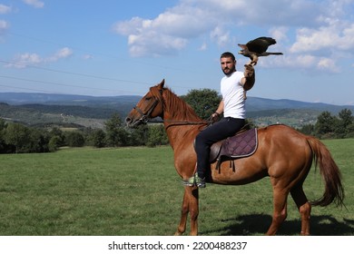 Young man riding horse in field and holding Harris's hawk on his hand.
Animal lover. - Powered by Shutterstock