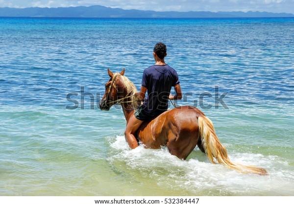 Young Man Riding Horse On Beach Stock Photo (Edit Now) 532384447