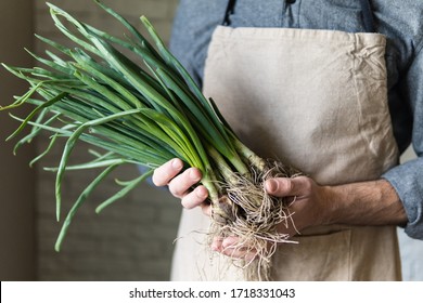 Young man in rustic apron holding a bunch of green onions. Healthy, vegetarian and organic farm food concept. - Shutterstock ID 1718331043