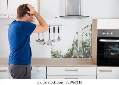 Kitchen Molds Images Stock Photos Vectors Shutterstock