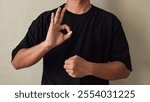 Young man showing sign language gesture during online lesson