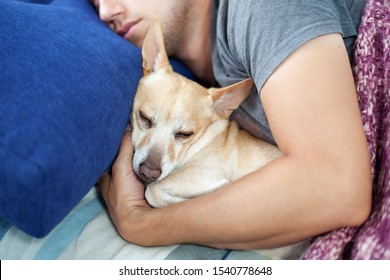 Young Man Sleeping With A Dog. Man And Dog Sleeping Together In Sofa. Pet Allergies Concept. Owner With Pet Together At Home. Guy With Domestic Animal Hugging Each Other. Dog And Owner Under Covers