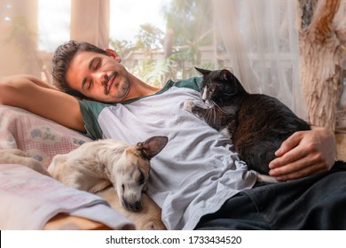 Young Man Sleeps Next To A Dog And A Black Cat In An Armchair Under A Mosquito Net.