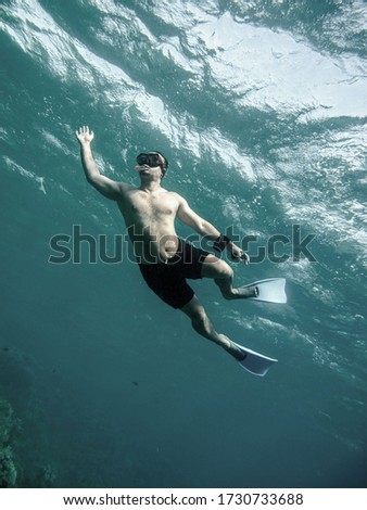 Young man snorkeling underwater,red sea , Egypt .
    