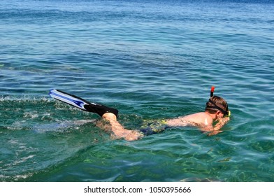 Young Man Snorkling In The Sea