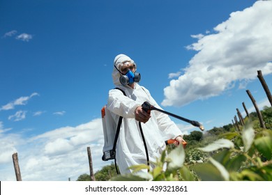 Young Man Spraying Toxic Pesticides Or Insecticides On Fruit Growing Plantation. Natural Light On Hard Sunny Day. Blue Sky With Clouds In Background.