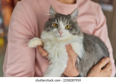 Young man in t shirt holding a cat