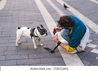 Young Man Taking Picture Of His Puppy Dog Outdoor With The Smartphone. French Bulldog Posing For Pic Shot For His Owner.