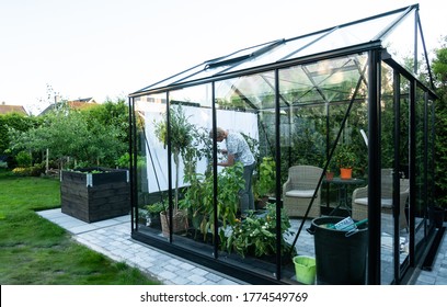 Young man tending to herbs and vegetable plants in a beautiful greenhouse