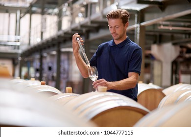 Young Man Testing Wine In A Wine Factory Warehouse