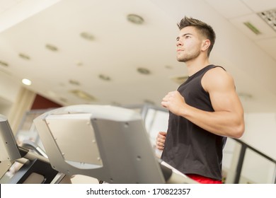 Young Man Training In The Gym