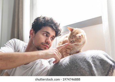 young man under the window   strokes the muzzle of a brown tabby cat. close up