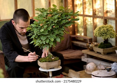 A young man use scissors to decorate the branches of a new bonsai tree in a garden house - Powered by Shutterstock