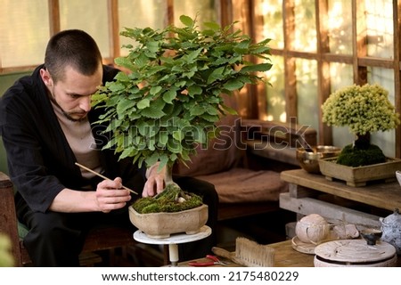 A young man use scissors to decorate the branches of a new bonsai tree in a garden house