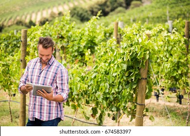 Young man using digital tablet and phone at vineyard - Powered by Shutterstock