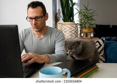 Young Man Using Laptop On Sofa With British Shorthair Cat