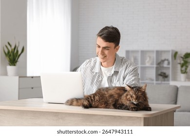 Young man using laptop at table with cute cat in home office